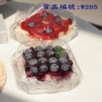 W205-01.png