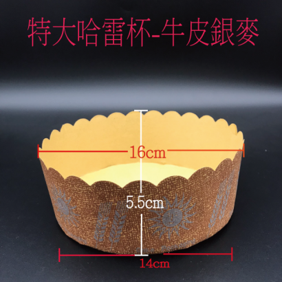 特大哈雷-有尺寸.png